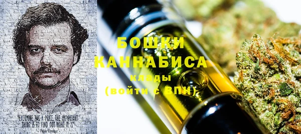 индика Арсеньев