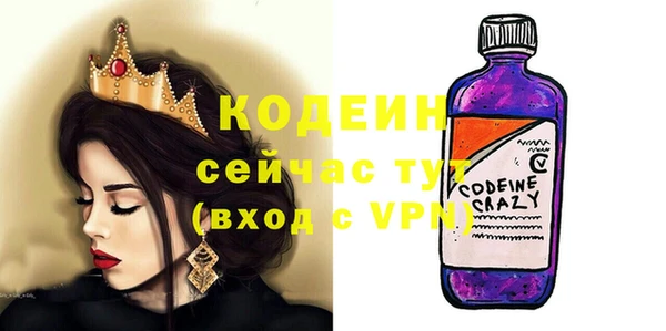 индика Арсеньев