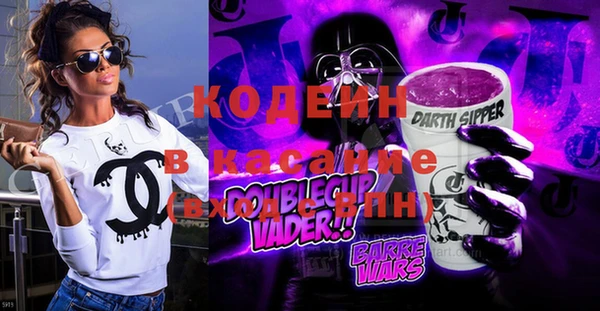 индика Арсеньев