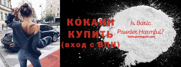 индика Арсеньев