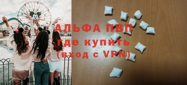 индика Арсеньев