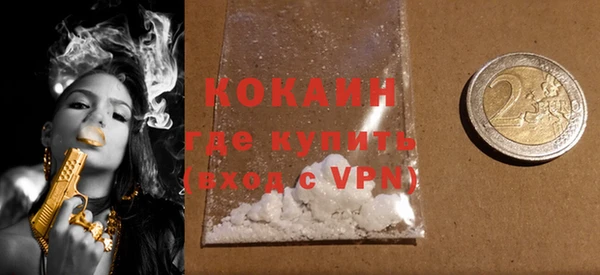 индика Арсеньев