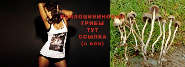 spice Армянск